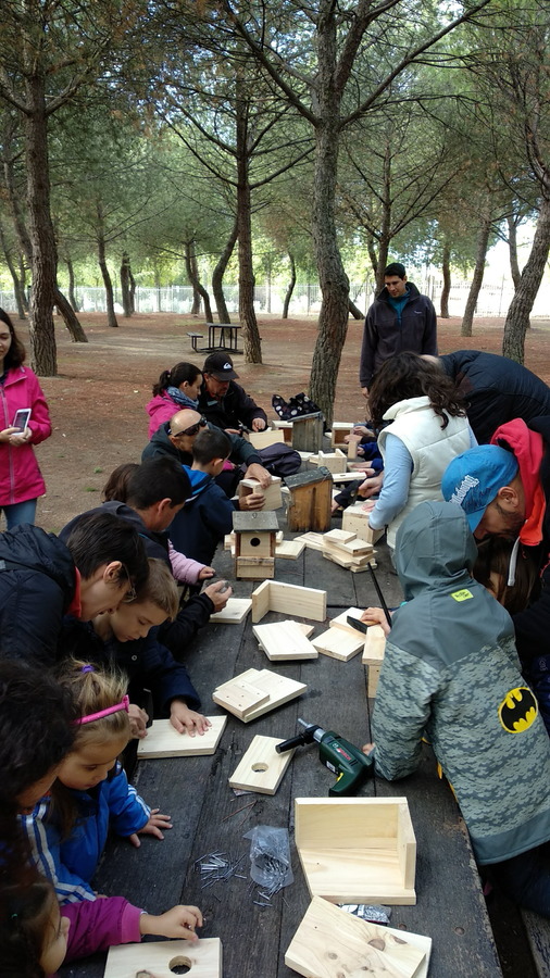Workshop 7